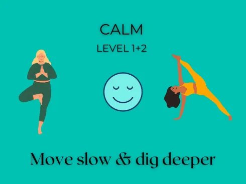 Yoga Level 1+2 CALM