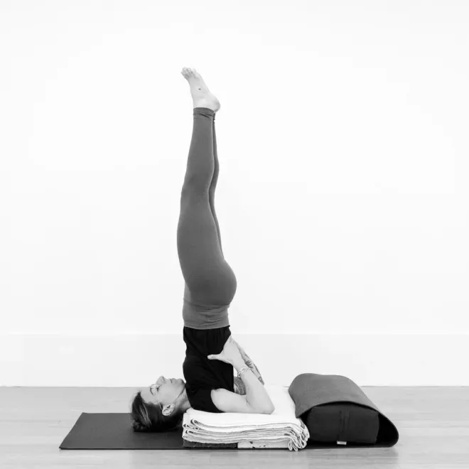Iyengar Yoga Level I-III