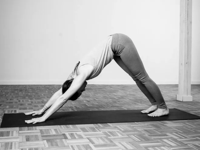 Yoga Basics (STUDIO)